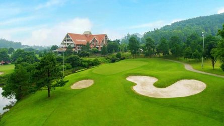hinh-anh-san-golf-tam-dao-1-445x250
