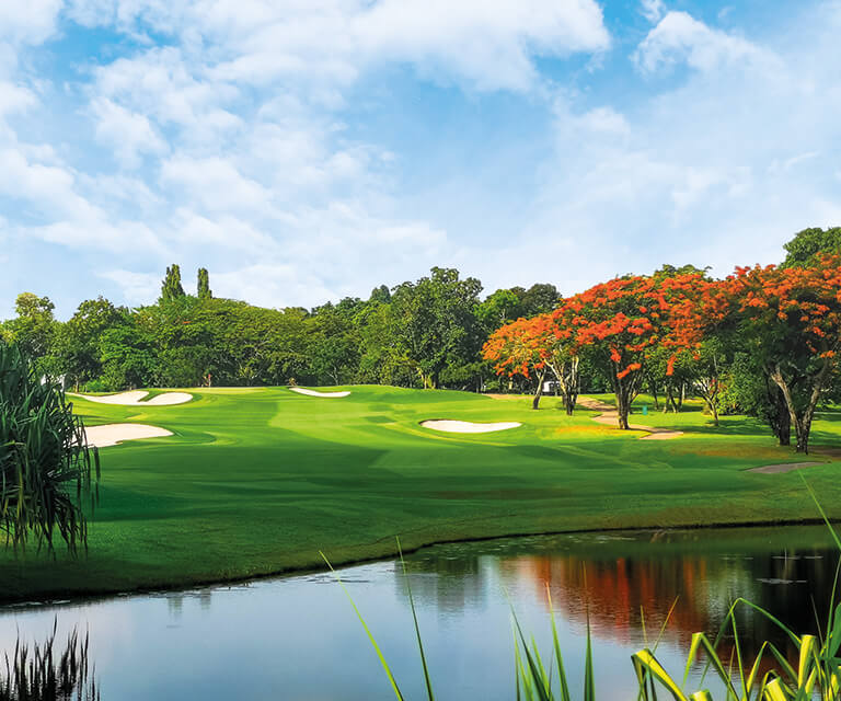 Xu hướng golf 2026

