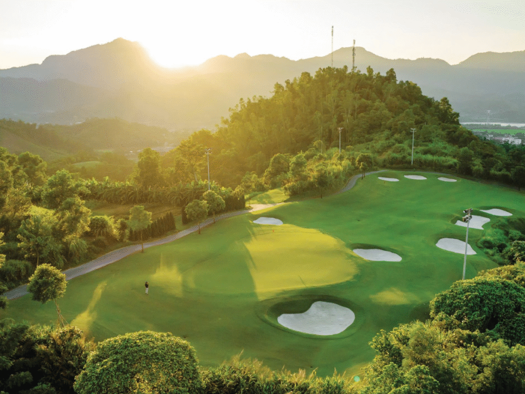tour golf