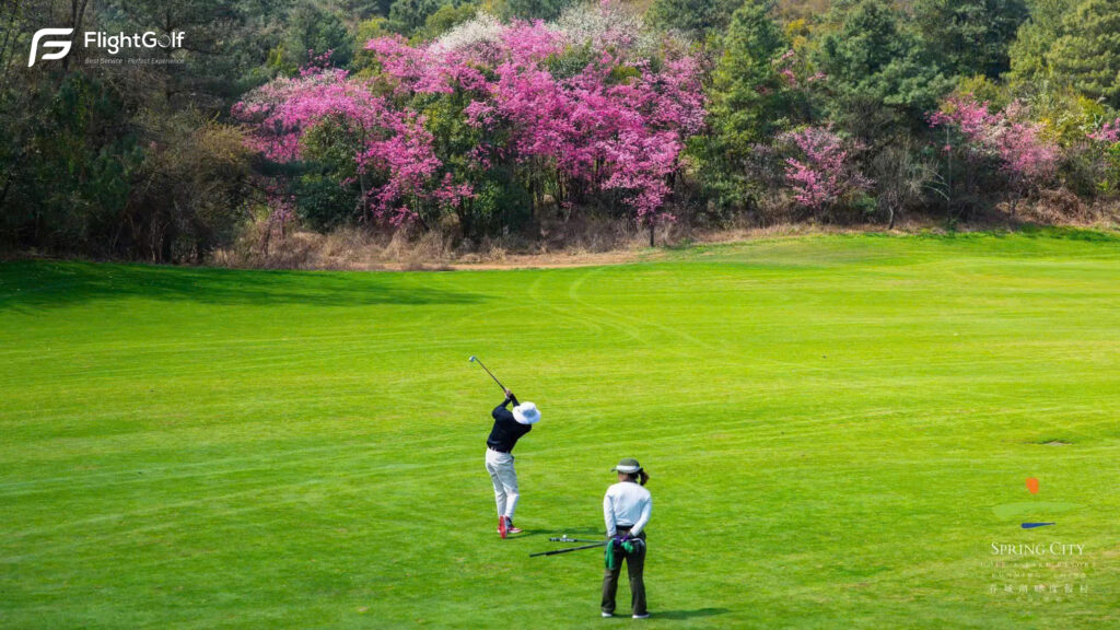 thi đấu tour golf quốc tế