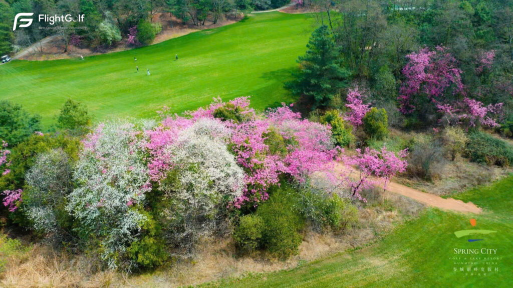 Spring City Golf