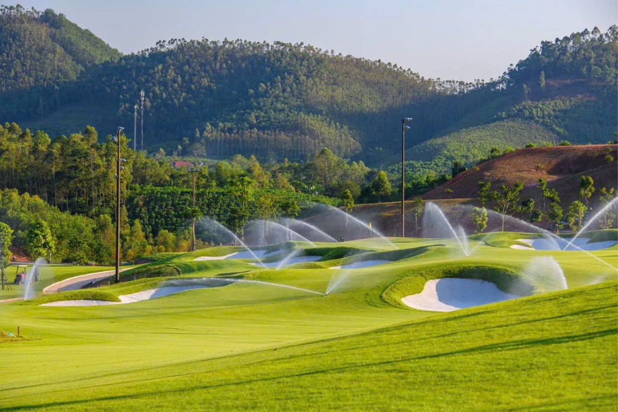 đường bóng golf